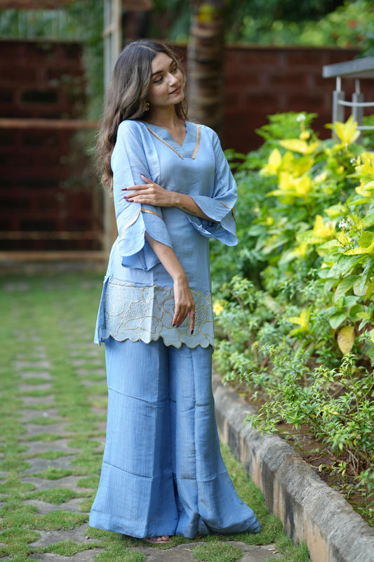 Blue Embroidered Designer Co-ord Set